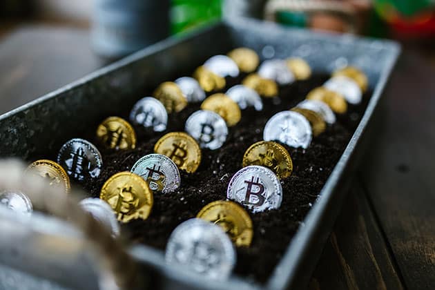 Bitcoins plotted in soil to signify planting and growth of cryptocurrency