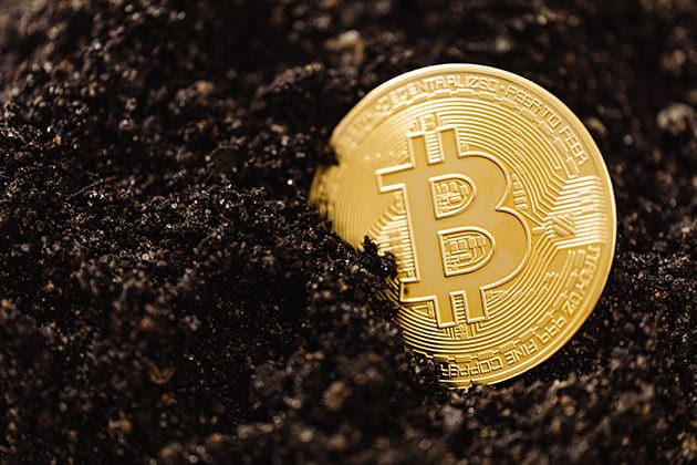 Image of Bitcoin in soil